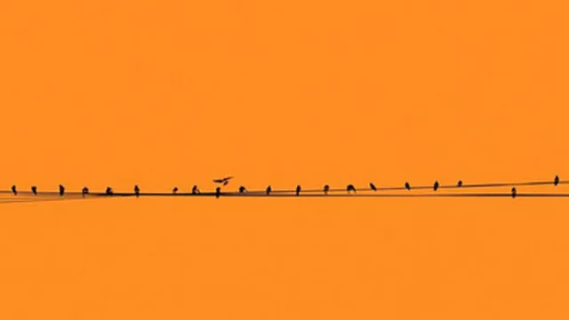 Dorothea Lasky, Cuando querés leer no podés leer