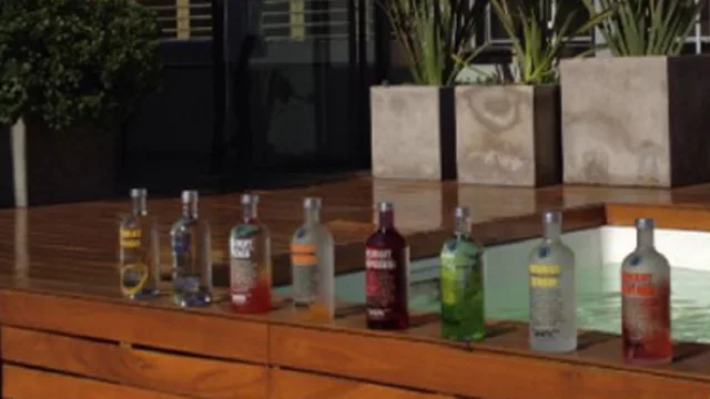 Pera y Raspberri son los sabores de vodka Absolut preferidos por los cordobeses