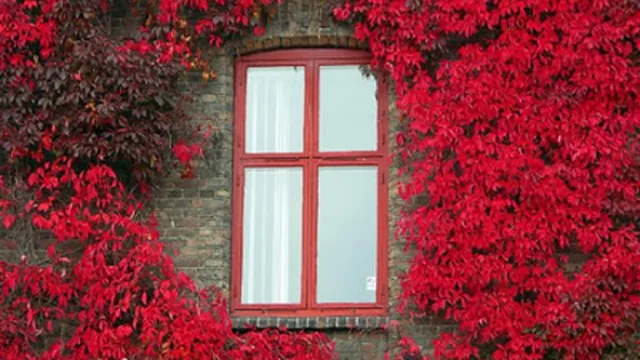 Affonso Romano de Sant Anna, El amor, la casa y los objetos