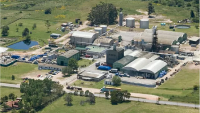 Venden American Chemical por US$ 79 millones a la brasileña Oxiteno