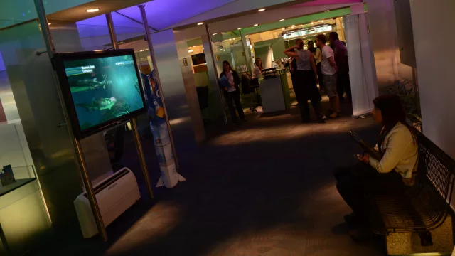 Las oficinas de Buquebus son de luces tenues y ambiente relajado, ideal para ofrecer y comprar paquetes turísticos