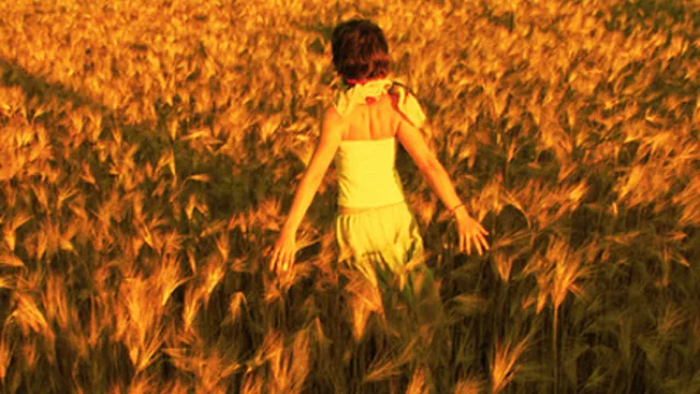 Ana María Rodas, Absoluta