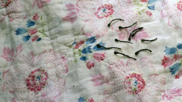 Aicha Bassry, Pasión marchita