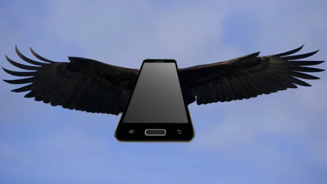 ¡Somos libres! (O al menos podemos cambiar de compañía telefónica)