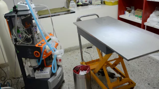 El Sitio Canino cerró el último eslabón de su cadena: abrió un hospital veterinario 24 horas