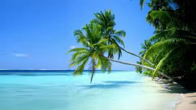 También en esta época, empiezan a mejorar los precios de alguna linda