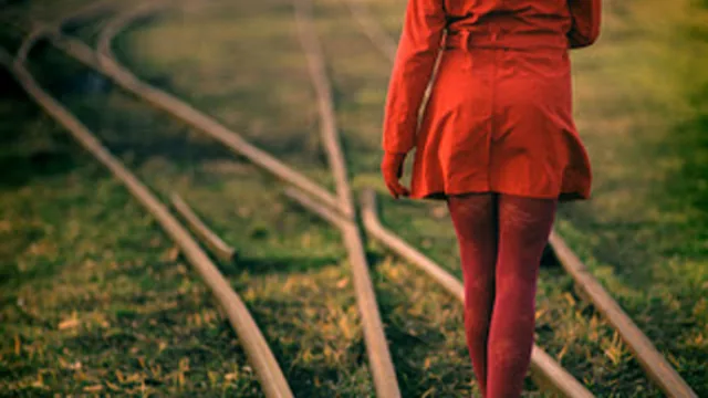 Nicolae Prelipceanu, La metáfora