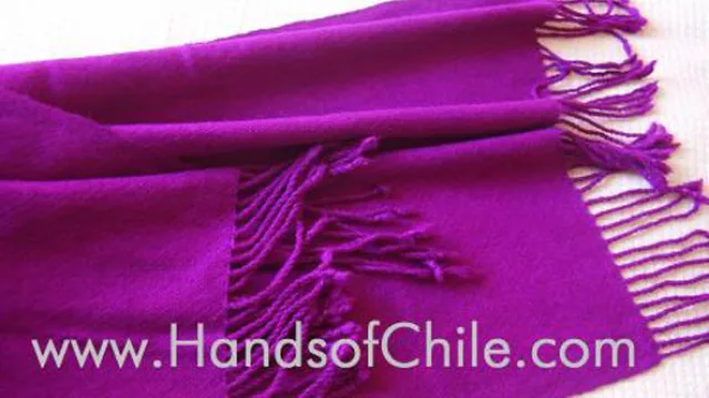 Artesanos con sueños de empresarios: Hands of Chile creció 300%