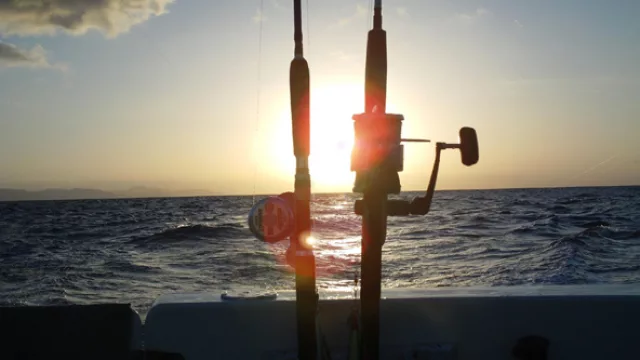 Ir por “la pesca del día” te cuesta US$ 95 por hora embarcando en el puerto de Punta