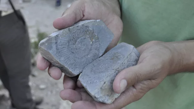 En Manqui Malal los fósiles son unos de los principales atractivos, además del paisaje y las caminatas