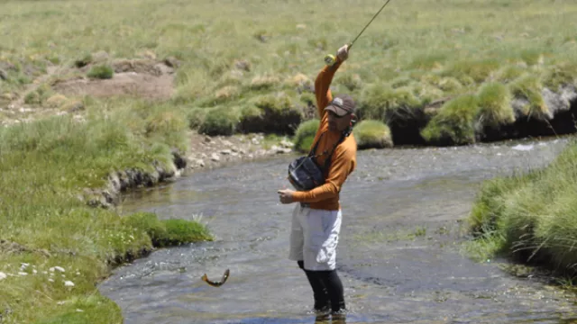 La pesca con mosca es uno de los principales atractivos para realizar en Valle Hermoso, así como también en otros ríos malargüinos