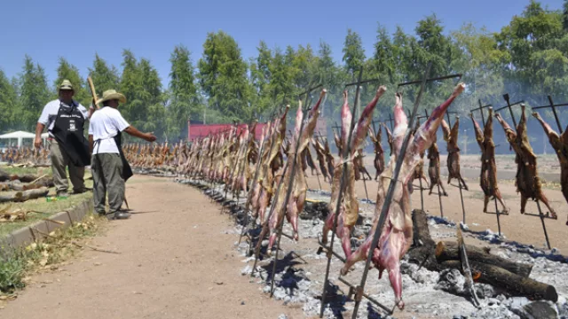 Los maestros cocineros están en todos los detalles para asar a las llamas cerca de 800 chivos ¡al mismo tiempo!
