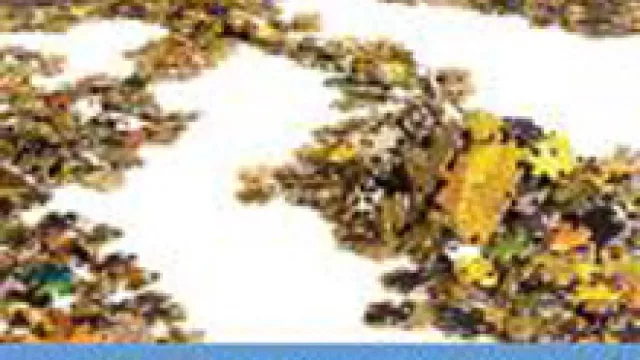 Entre Las Buenas Intenciones Y Las Buenas Soluciones