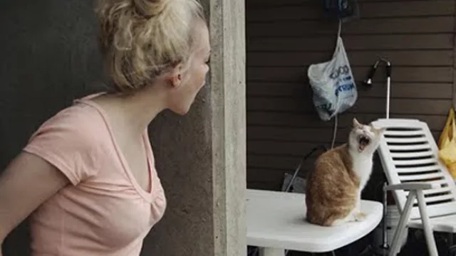 Anise Koltz, 2 poemas 2