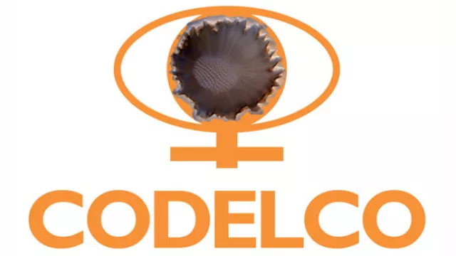 Chile: "La reputación de Codelco a nivel internacional ha sido afectada negativamente"