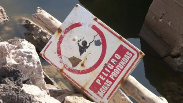 Francisca Aguirre, Una mala disposición