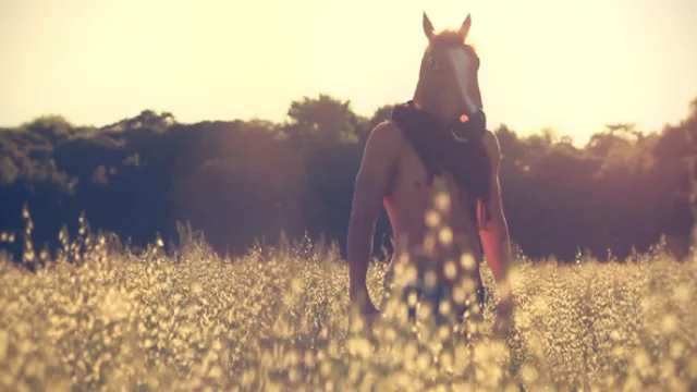 Llega al país el primer canal de TV gay: Friendly Mundo