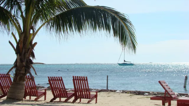 Mar, reposeras y cocoteros, típica postal en playas de Belice