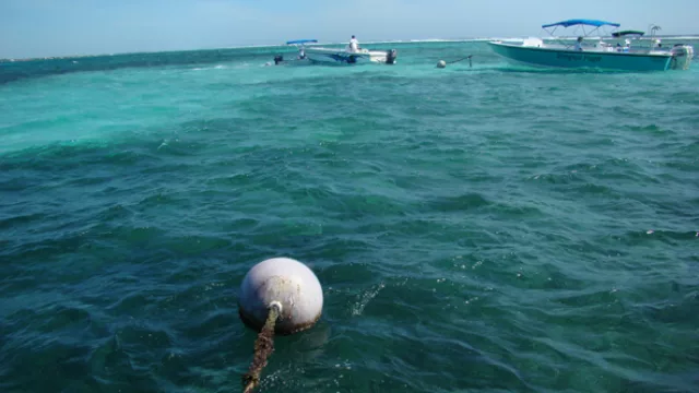 Mar turquesa ideal para el snorkel