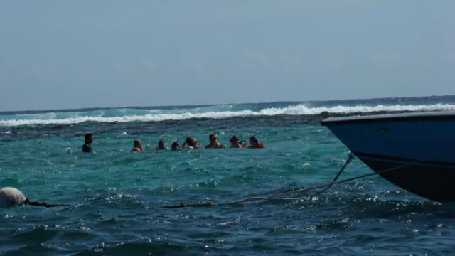 Buceo y snorkel, principales actividades sobre el arrecife