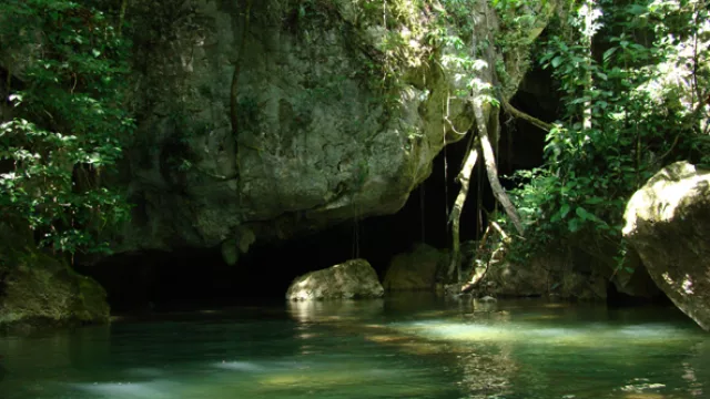 Cavernas en Cave Branch River