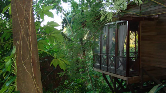 Habitaciones rodeadas por selva en Cave Branch Lodge