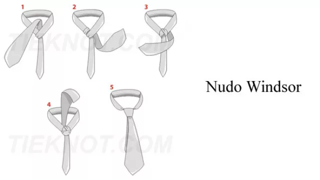 Nudo Windsor