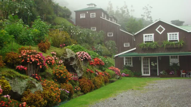Chiriquí (al norte de la capital) es una provincia que se destaca en el cultivo del café