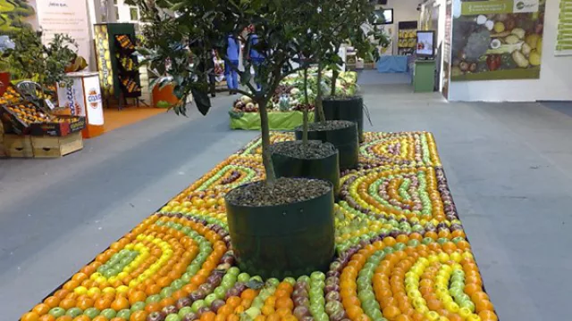 Uruguay: Para los adolescentes es “un quemo” comer fruta y verdura delante de sus pares