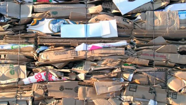 Banco Macro recicló casi 60% más de papel y plástico que en 2009