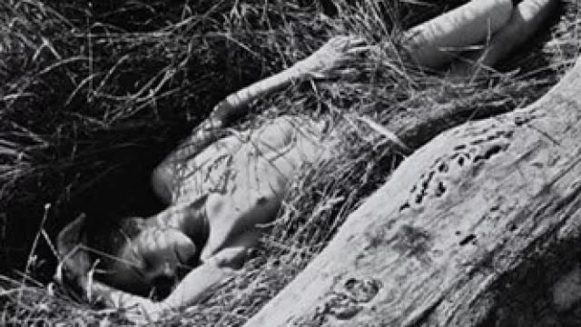 Diane Wakoski, Historia