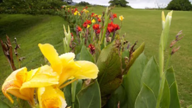 ¿Buscás más distancia con tu drive? Pegá hacia arriba