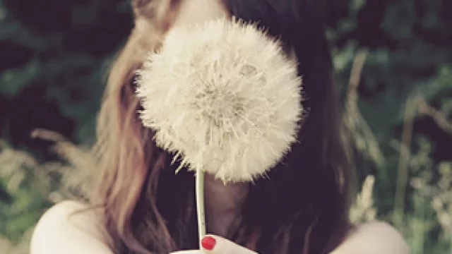 Carmen Beltrán Falces, Posdata