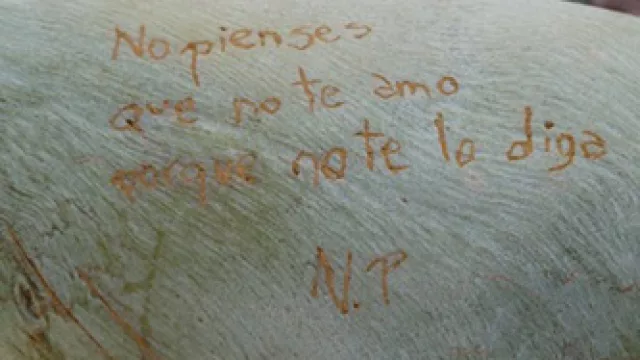 Rosario Castellanos, Destino