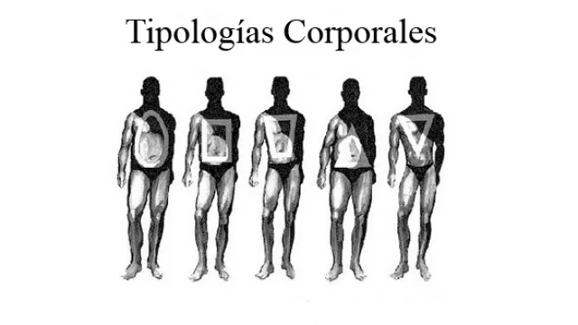Tipologías Corporales