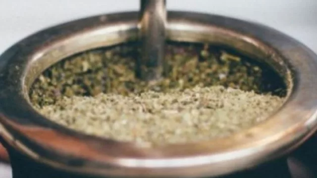 ¿Tomamos unos “verdes”? Qué yerba mate se consigue en las ciudades de nuestros corresponsales (y qué precios tienen)