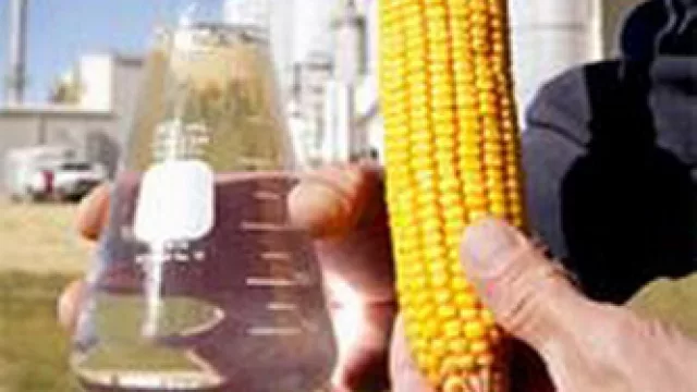 En el 2014, Córdoba se convertirá en la primera productora de bioetanol del país