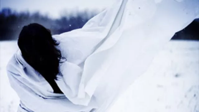 Ana Sofía Pérez-Bustamante, Géminis ante el altar del Dios desconocido