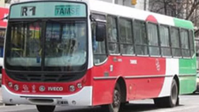 ¿Tamse pública o privada?