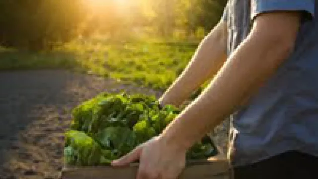 El futuro del campo se discute en el Cerro de las Rosas