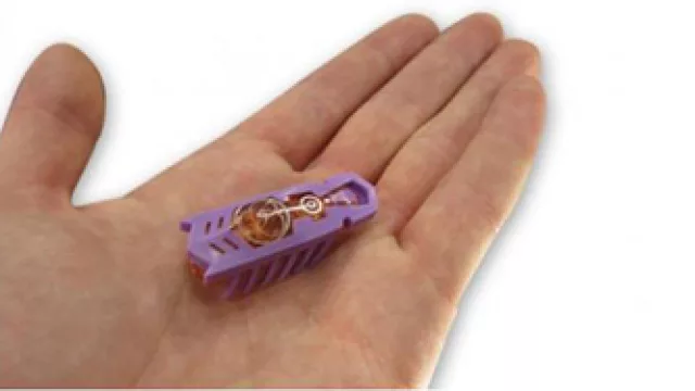 ¿Sueñan los androides con cucarachas eléctricas?