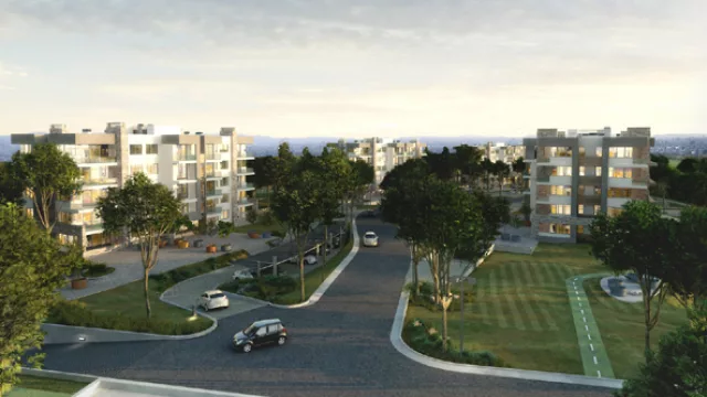 Con 4 Certezas, en 6 meses Euromayor vendió más que en todo el 2010