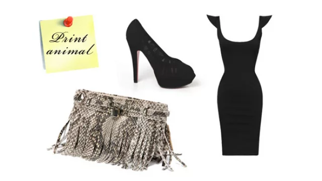 coctel, sobre simil reptil con flecos