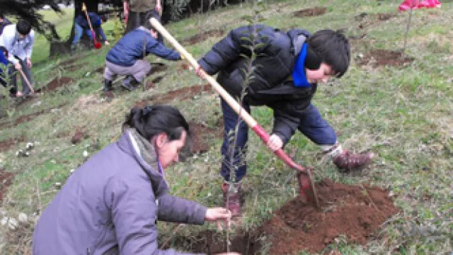 Chile y Argentina se unen para luchar por el Bosque Nativo (80% está muriendo)