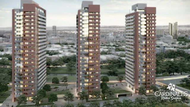 Cardinales Nuevo Suquía: otro ejemplo de éxitos de ventas