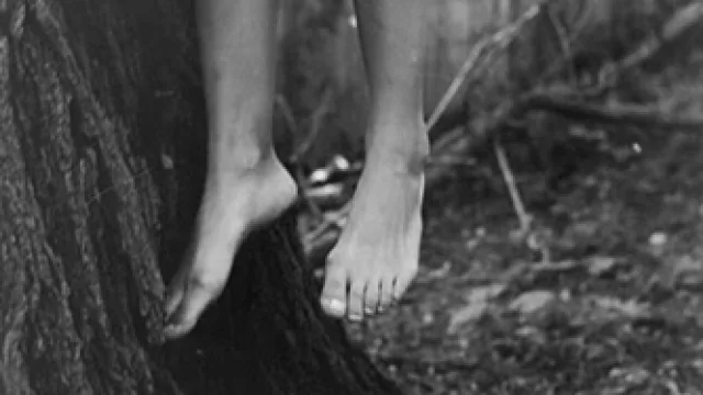 Louise Glück, El jardín