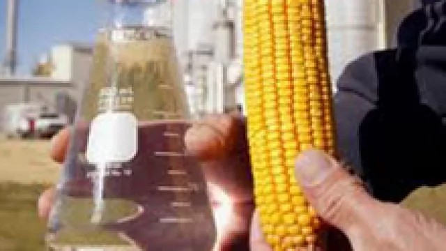 Biocombustibles: cómo será la inversión más importante en Córdoba