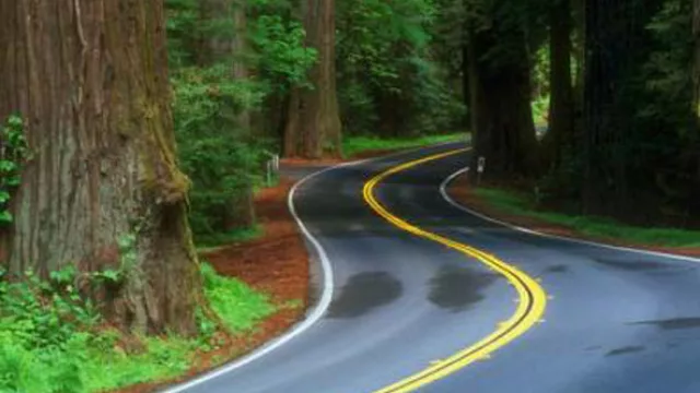 Bridgestone y la ecología