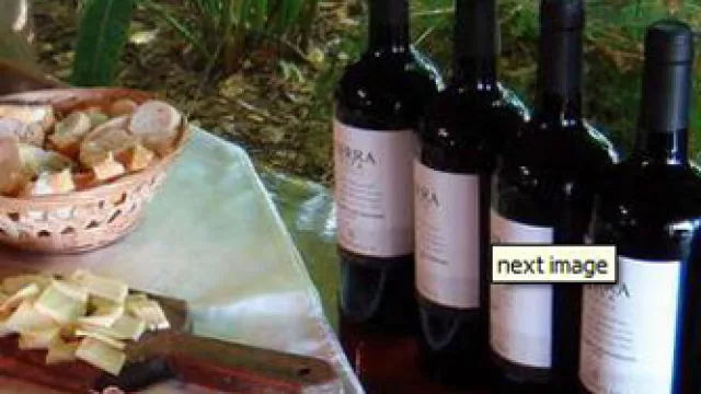 Uruguay: Spinoglio da sus primeros pasos en turismo enológico y planea “petit” hotel