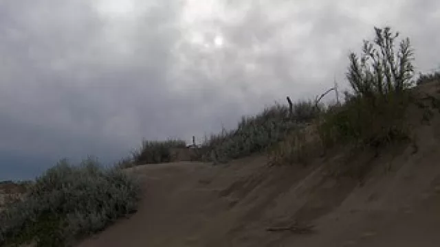 Aída Elena Párraga, Metamorfosis